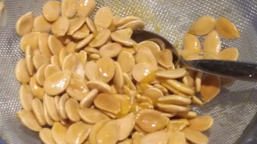 Kerner fra græskaret