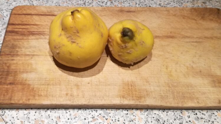 Kvæder på spækbræt