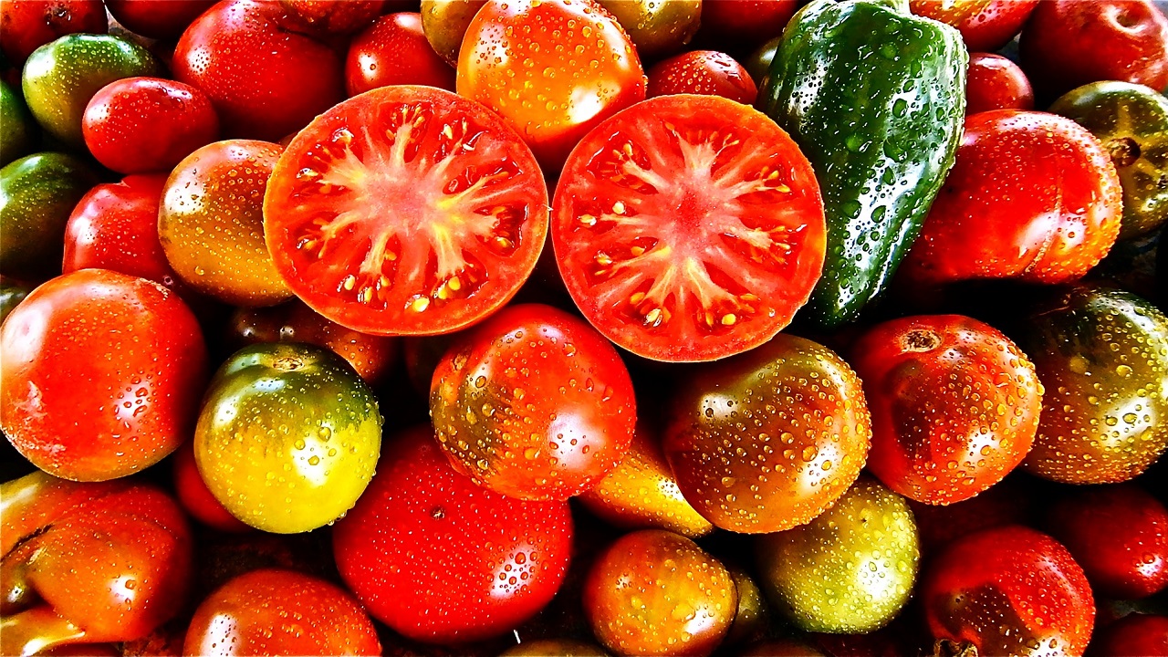 Tomatsorter – vælg rigtigt – KonenmedGryden.dk