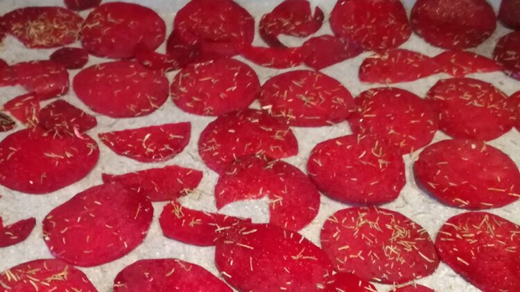 Rødbedechips med timian