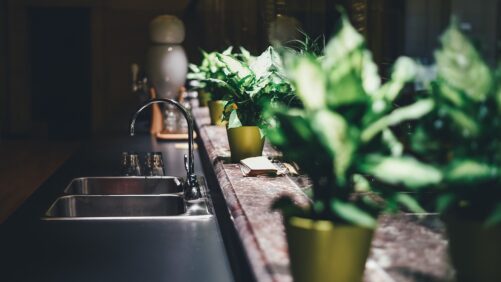 Køkkenbord med grønne planter