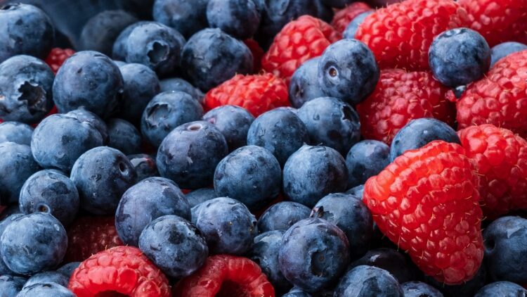 Blåbær og hindbær